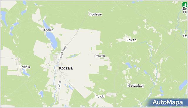 mapa Działek gmina Koczała, Działek gmina Koczała na mapie Targeo