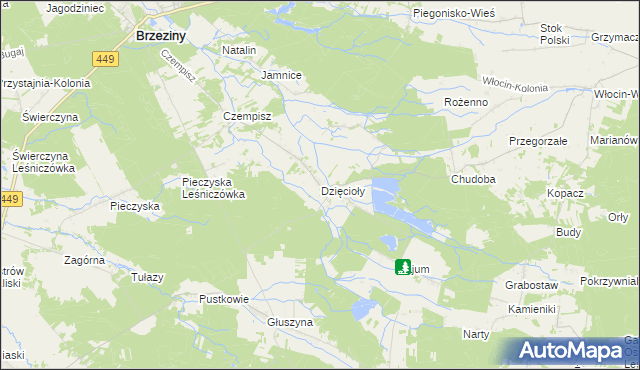 mapa Dzięcioły gmina Brzeziny, Dzięcioły gmina Brzeziny na mapie Targeo