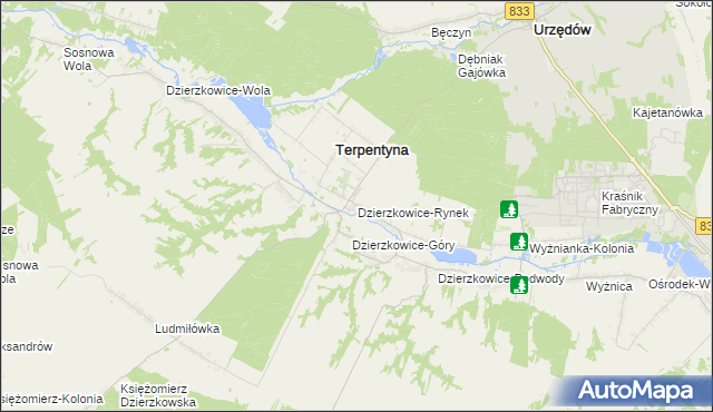 mapa Dzierzkowice-Rynek, Dzierzkowice-Rynek na mapie Targeo