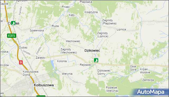 mapa Dzikowiec powiat kolbuszowski, Dzikowiec powiat kolbuszowski na mapie Targeo