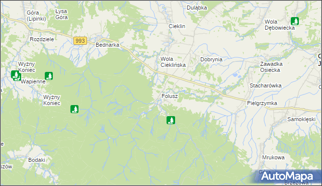 mapa Folusz gmina Dębowiec, Folusz gmina Dębowiec na mapie Targeo