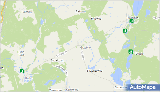 mapa Grzybno gmina Chojna, Grzybno gmina Chojna na mapie Targeo