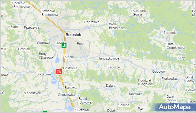 mapa Januszkowice gmina Brzostek, Januszkowice gmina Brzostek na mapie Targeo