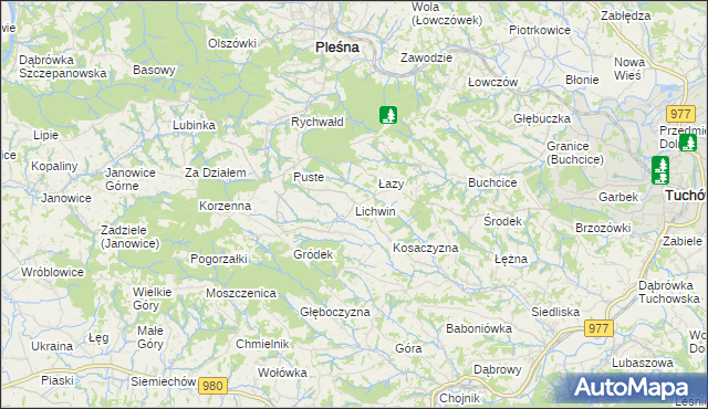 mapa Lichwin gmina Pleśna, Lichwin gmina Pleśna na mapie Targeo