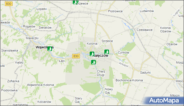 mapa Nałęczów powiat puławski, Nałęczów powiat puławski na mapie Targeo