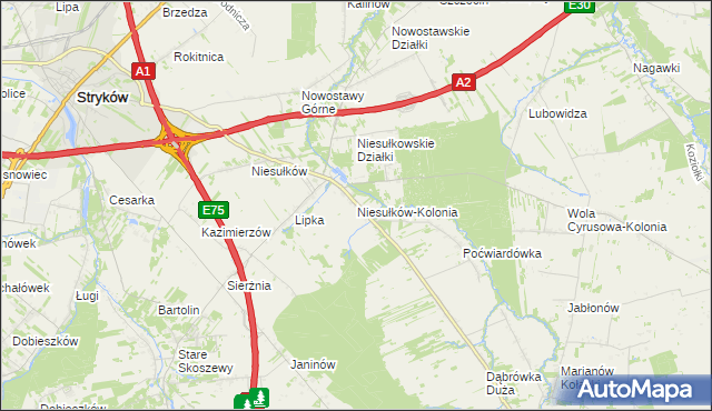 mapa Niesułków-Kolonia, Niesułków-Kolonia na mapie Targeo