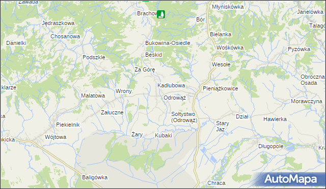 mapa Odrowąż gmina Czarny Dunajec, Odrowąż gmina Czarny Dunajec na mapie Targeo