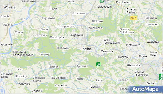 mapa Pleśna powiat tarnowski, Pleśna powiat tarnowski na mapie Targeo