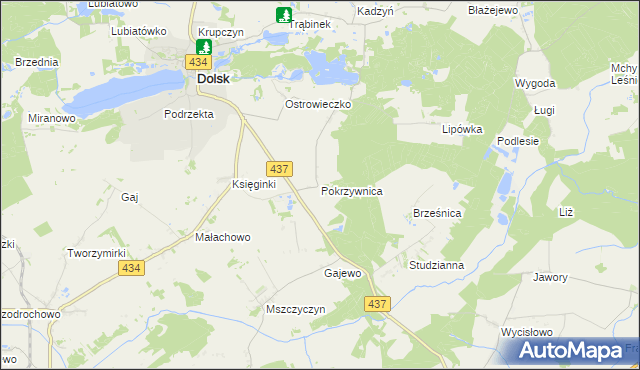 mapa Pokrzywnica gmina Dolsk, Pokrzywnica gmina Dolsk na mapie Targeo