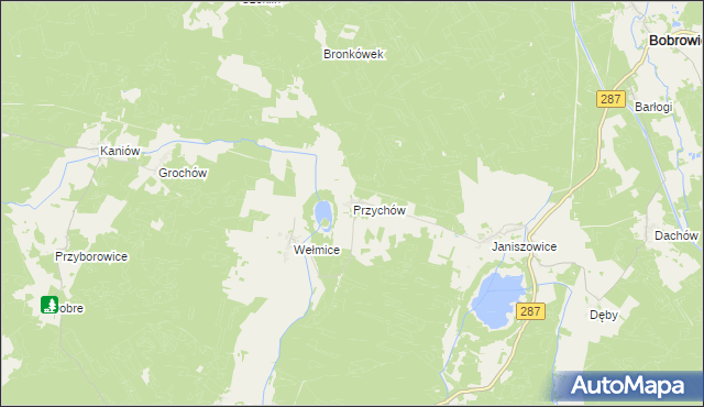 mapa Przychów, Przychów na mapie Targeo