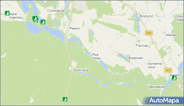 mapa Psie Głowy, Psie Głowy na mapie Targeo