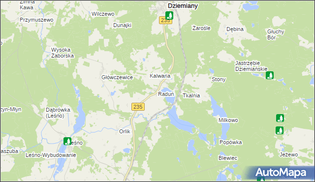 mapa Raduń gmina Dziemiany, Raduń gmina Dziemiany na mapie Targeo
