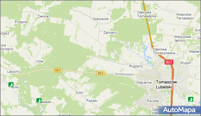 mapa Rogóźno-Kolonia, Rogóźno-Kolonia na mapie Targeo