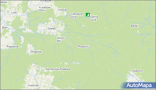 mapa Rosochy gmina Bliżyn, Rosochy gmina Bliżyn na mapie Targeo