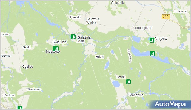 mapa Różki gmina Kołczygłowy, Różki gmina Kołczygłowy na mapie Targeo