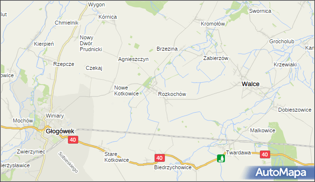 mapa Rozkochów gmina Walce, Rozkochów gmina Walce na mapie Targeo