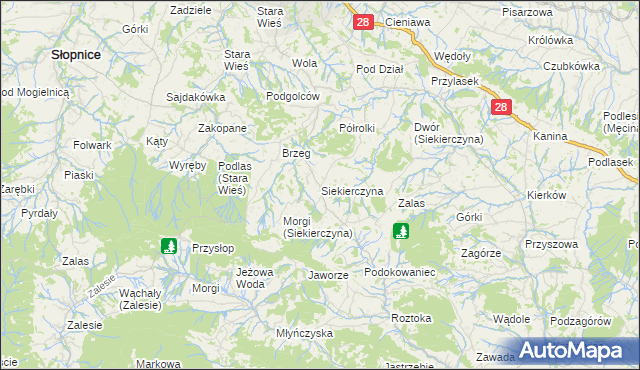 mapa Siekierczyna gmina Limanowa, Siekierczyna gmina Limanowa na mapie Targeo