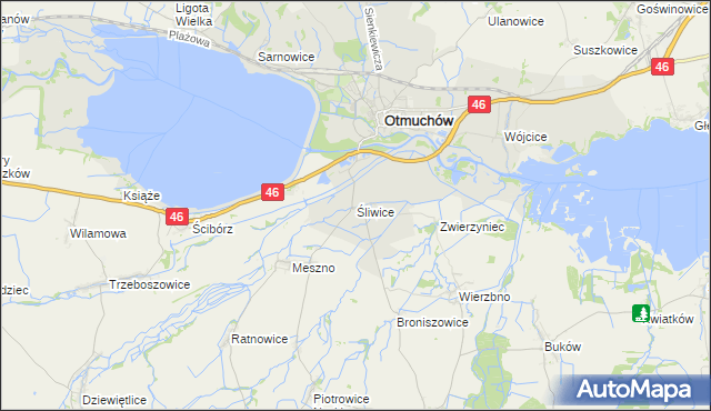 mapa Śliwice gmina Otmuchów, Śliwice gmina Otmuchów na mapie Targeo