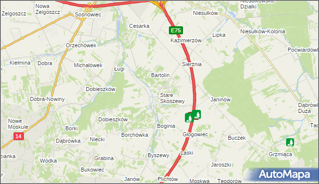 mapa Stare Skoszewy, Stare Skoszewy na mapie Targeo