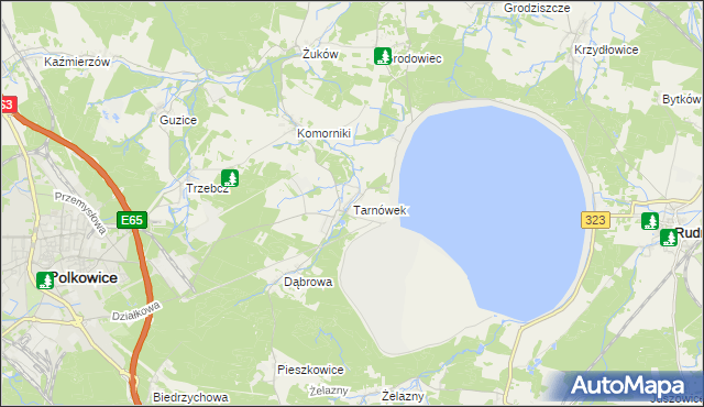 mapa Tarnówek gmina Polkowice, Tarnówek gmina Polkowice na mapie Targeo