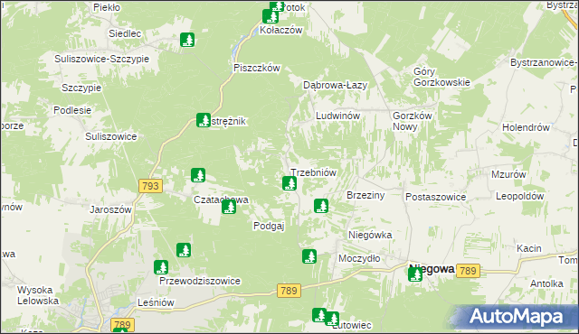 mapa Trzebniów, Trzebniów na mapie Targeo