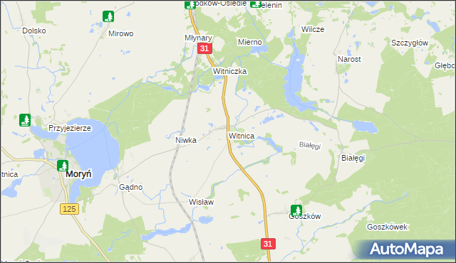 mapa Witnica gmina Moryń, Witnica gmina Moryń na mapie Targeo