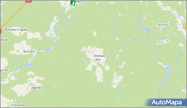 mapa Wołowe Lasy, Wołowe Lasy na mapie Targeo