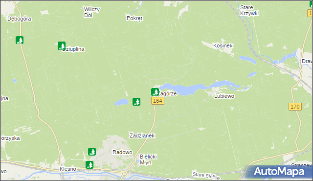 mapa Zagórze gmina Drezdenko, Zagórze gmina Drezdenko na mapie Targeo