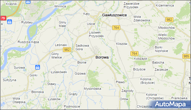 mapa Borowa powiat mielecki, Borowa powiat mielecki na mapie Targeo
