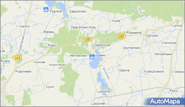mapa Buszewo gmina Pniewy, Buszewo gmina Pniewy na mapie Targeo