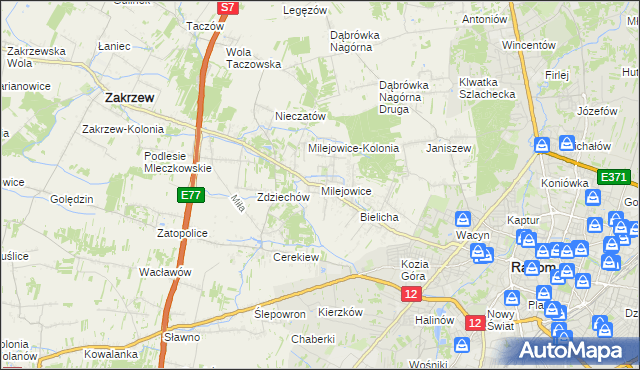 mapa Milejowice gmina Zakrzew, Milejowice gmina Zakrzew na mapie Targeo