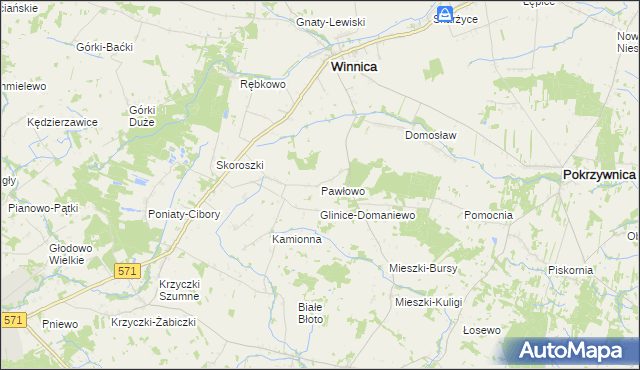mapa Pawłowo gmina Winnica, Pawłowo gmina Winnica na mapie Targeo