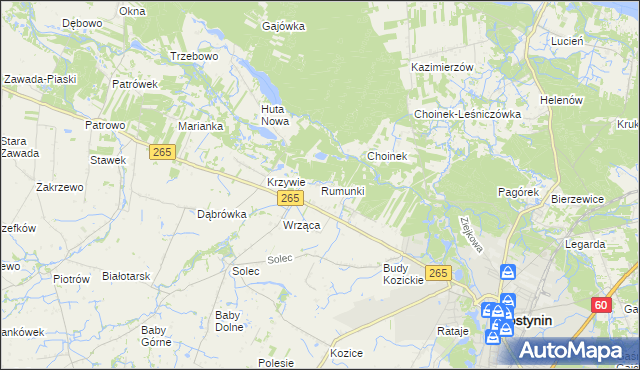 mapa Rumunki gmina Gostynin, Rumunki gmina Gostynin na mapie Targeo