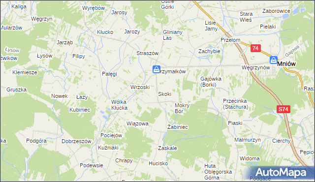 mapa Skoki gmina Mniów, Skoki gmina Mniów na mapie Targeo