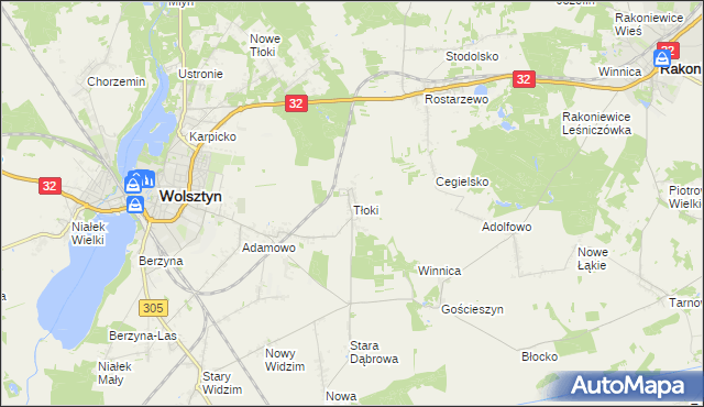 mapa Tłoki gmina Wolsztyn, Tłoki gmina Wolsztyn na mapie Targeo