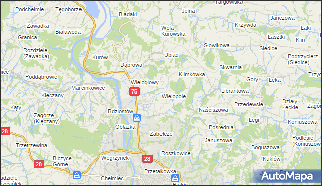 mapa Wielopole gmina Chełmiec, Wielopole gmina Chełmiec na mapie Targeo