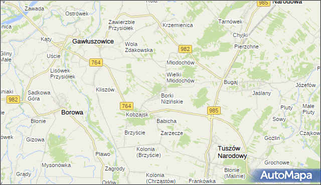 mapa Borki Nizińskie, Borki Nizińskie na mapie Targeo