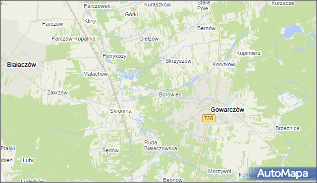 mapa Borowiec gmina Gowarczów, Borowiec gmina Gowarczów na mapie Targeo