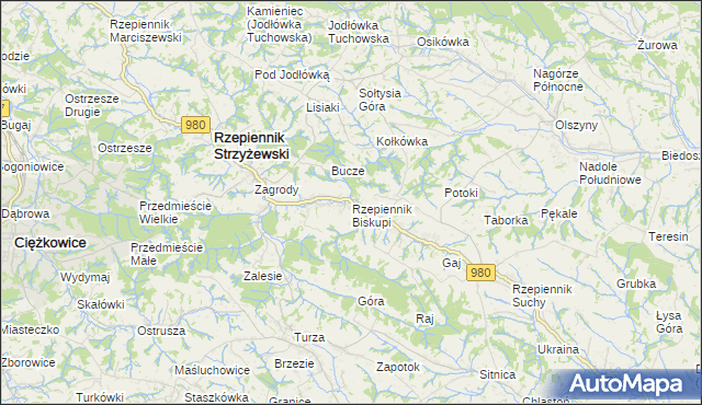 mapa Rzepiennik Biskupi, Rzepiennik Biskupi na mapie Targeo