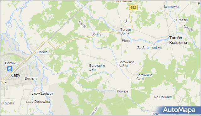 mapa Borowskie Olki, Borowskie Olki na mapie Targeo