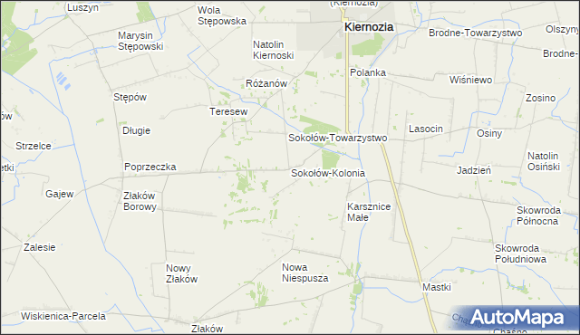 mapa Sokołów-Kolonia, Sokołów-Kolonia na mapie Targeo
