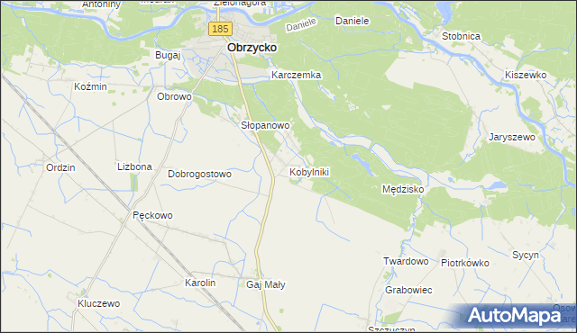 mapa Kobylniki gmina Obrzycko, Kobylniki gmina Obrzycko na mapie Targeo