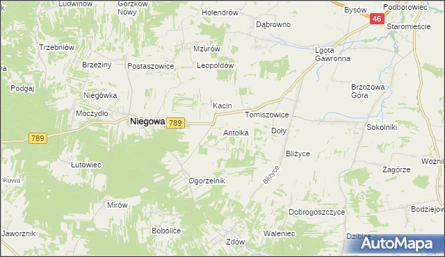 mapa Antolka gmina Niegowa, Antolka gmina Niegowa na mapie Targeo