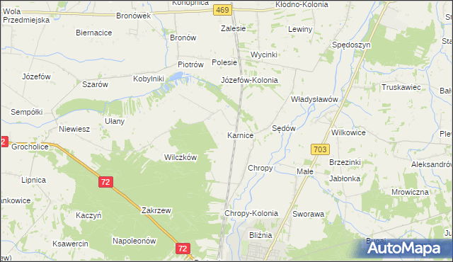 mapa Karnice gmina Poddębice, Karnice gmina Poddębice na mapie Targeo