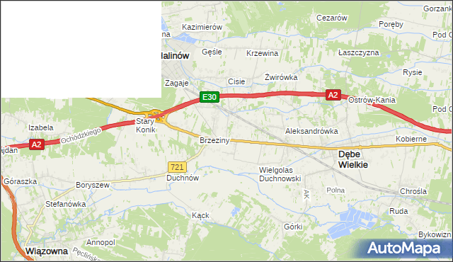 mapa Wielgolas Brzeziński, Wielgolas Brzeziński na mapie Targeo