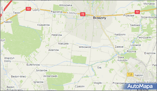 mapa Witkowice gmina Brzeziny, Witkowice gmina Brzeziny na mapie Targeo