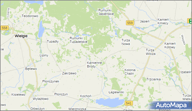 mapa Borowo gmina Tłuchowo, Borowo gmina Tłuchowo na mapie Targeo