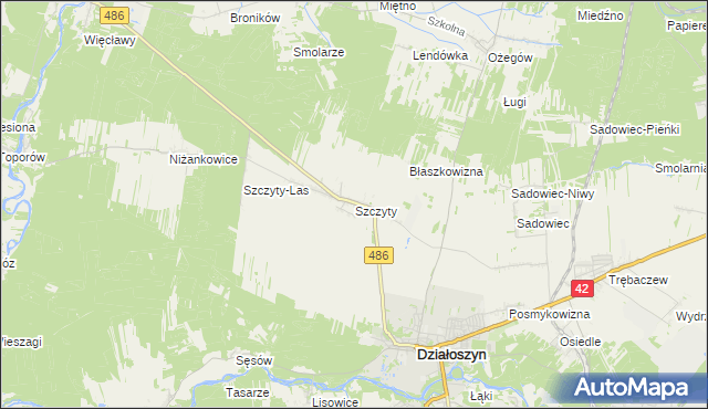 mapa Szczyty gmina Działoszyn, Szczyty gmina Działoszyn na mapie Targeo