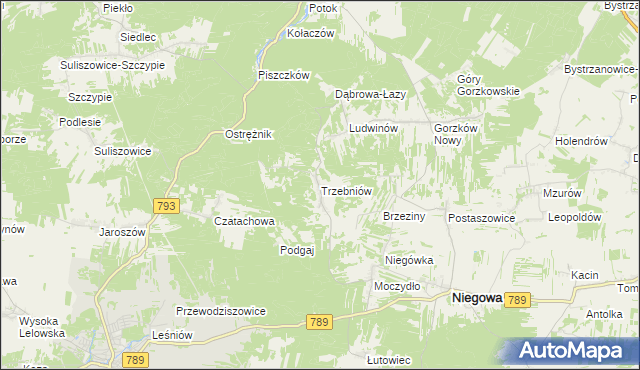 mapa Trzebniów, Trzebniów na mapie Targeo