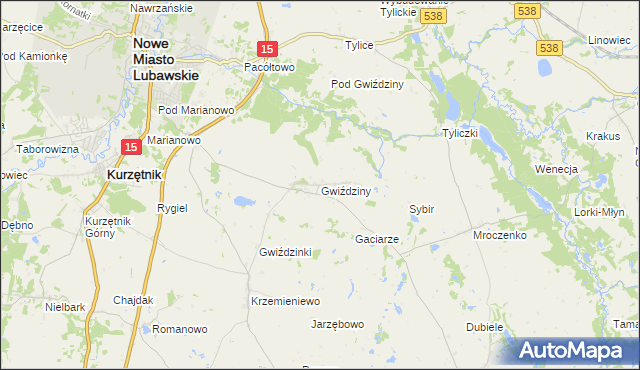 mapa Gwiździny gmina Nowe Miasto Lubawskie, Gwiździny gmina Nowe Miasto Lubawskie na mapie Targeo